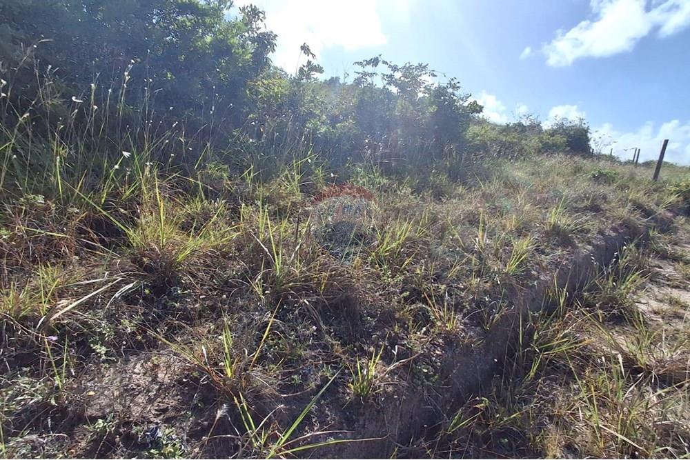 Terreno - Venda - Pitimbu , Paraíba - 31ce484a-c4d8-4e91-90ee-843dee039180.jpeg - 720871044-79
