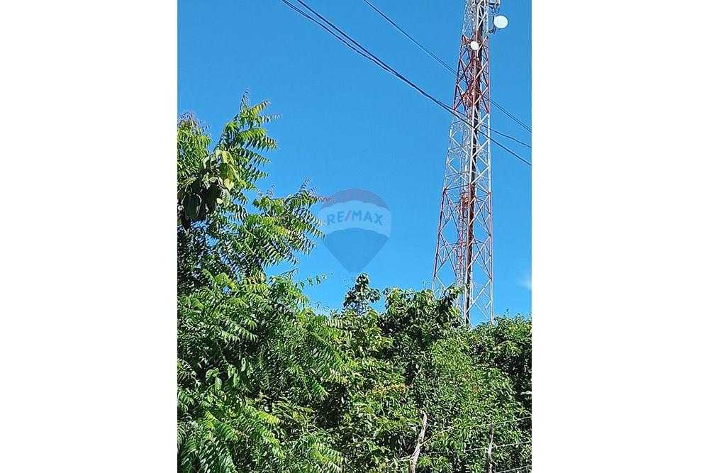 Terreno - Venda - Parnamirim , Rio Grande do Norte - WhatsApp Image 2026-03-24 at 11.35.51 (1).jpeg - 720891130-391