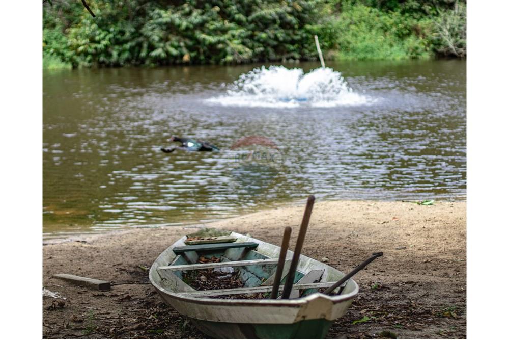 Woningbouw - Boerderij - Novo Airão , Amazonas - BR - IMG_7483.jpg - 720721055-29