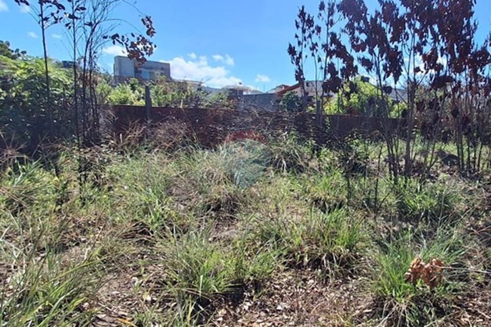 Terreno - Venda - Conde , Paraíba - 0c7e2dfb-6711-44d4-b28c-68433a57a3c3.jpeg - 720871044-68