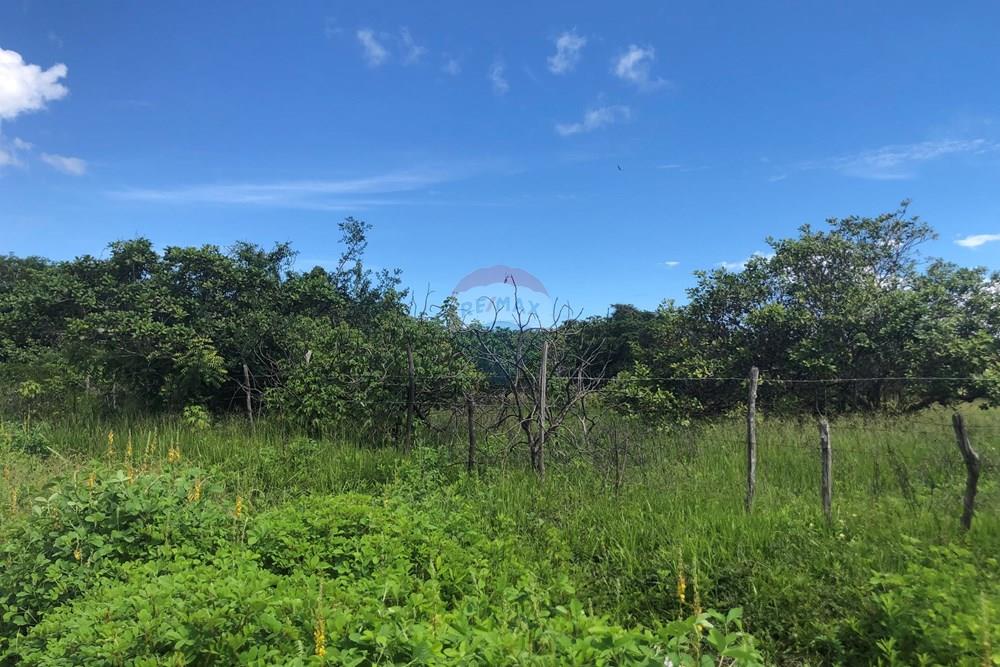 Terreno - Venda - Cruz , Ceará - IMG_0593.jpeg - 722341001-199