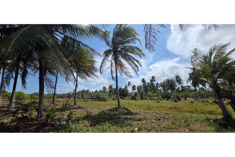 Terreno - Venda - Acaraú , Ceará - 1000304713.jpg - 722341001-114