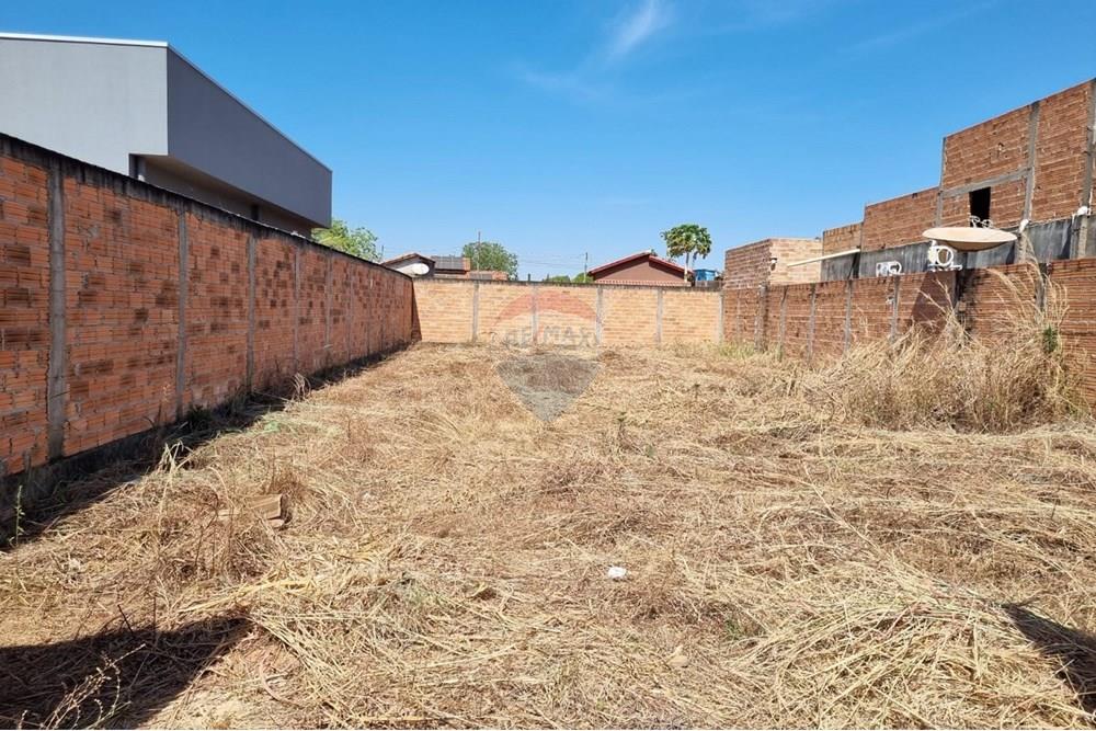 Terreno - Venda - Confresa , Mato Grosso - IMG-20250801-WA0029.jpg - 720641046-1