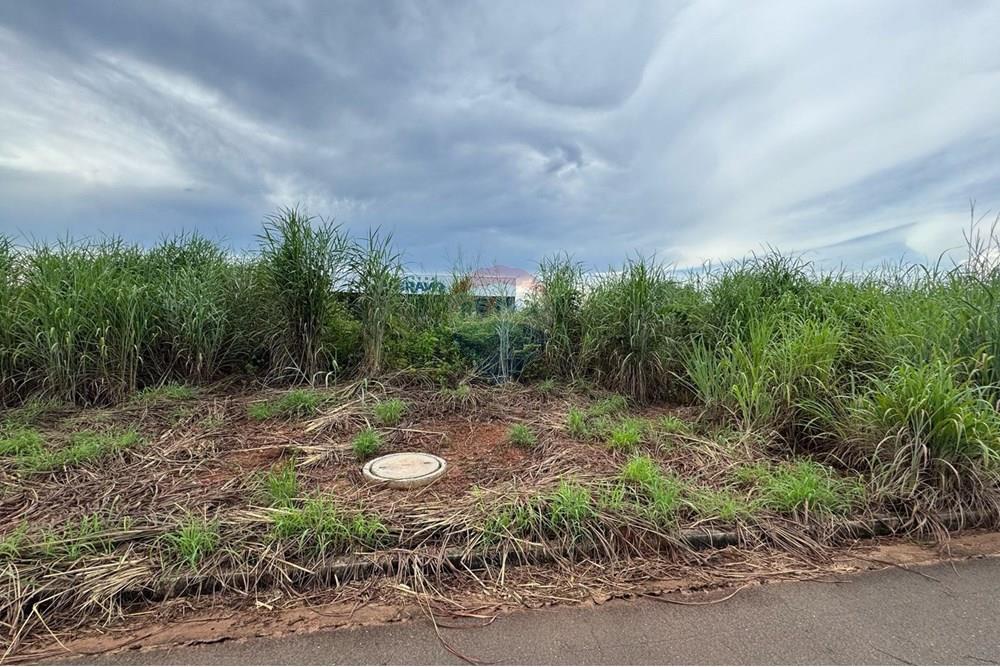 Terreno - Venda - Araguaína , Tocantins - WhatsApp Image 2025-04-09 at 15.39.10 (2).jpeg - 720991002-129