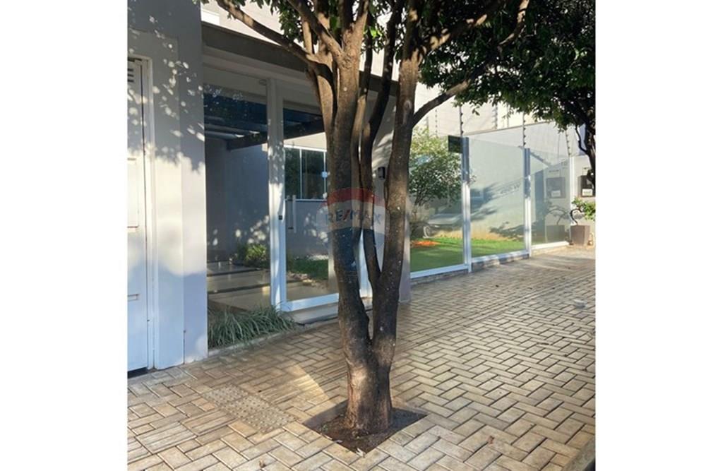 Casa - Alugar - Tangará da Serra , Mato Grosso - 7.jpeg - 722431006-6