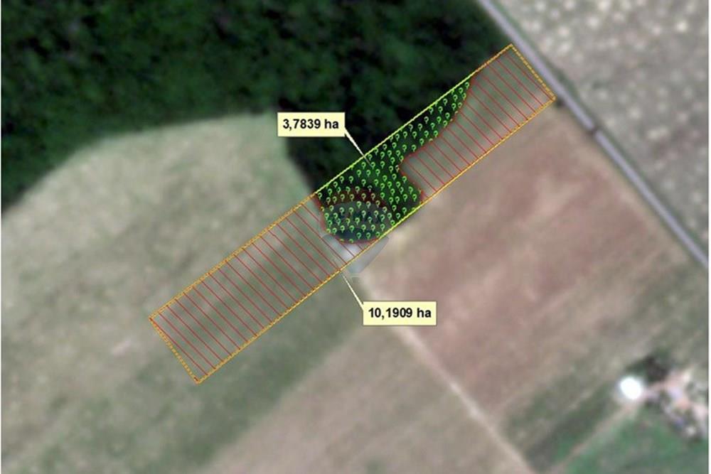 Agro - Venda - Paragominas , Pará - WhatsApp Image 2025-09-10 at 10.38.06 (1).jpeg - 721851003-81