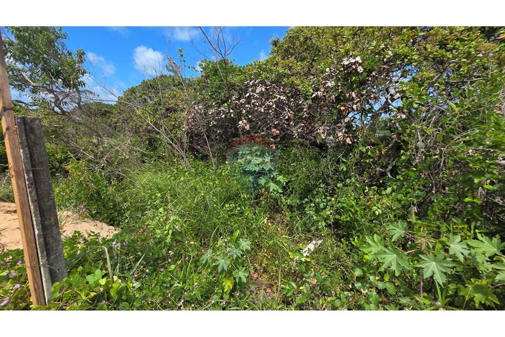 Terreno - Venda - Conde , Paraíba - 20251011_125558.jpg - 720871015-128