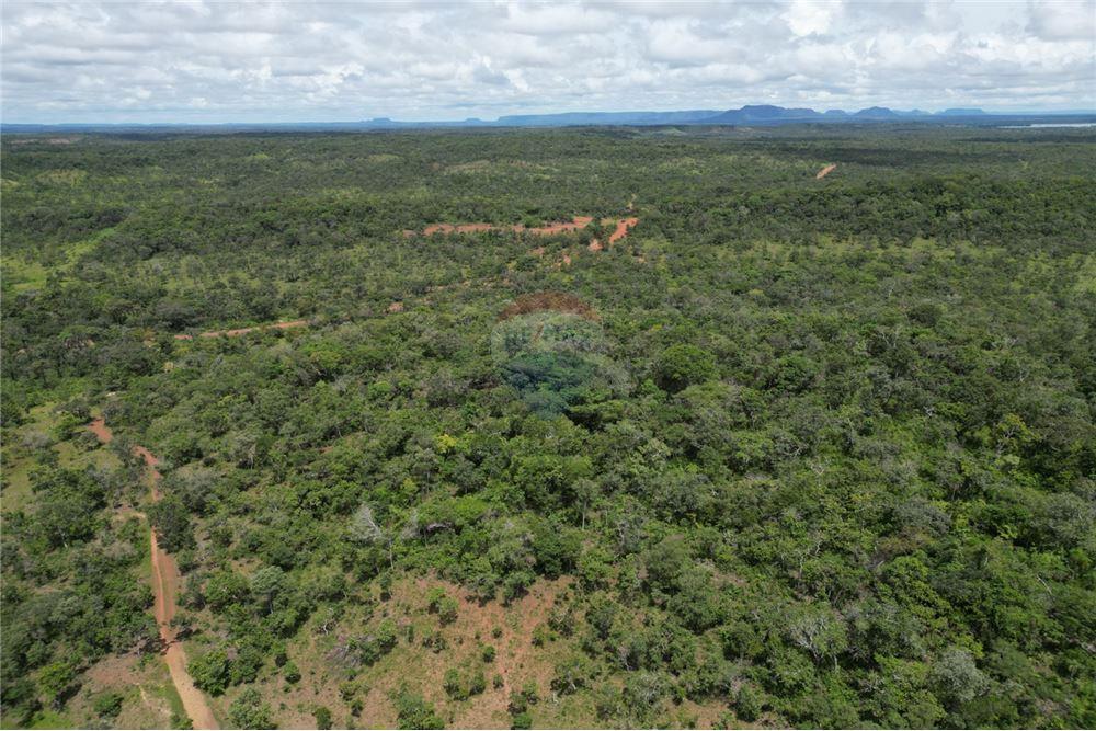 Fazenda - Venda - Carolina , Maranhão - 8 - 720991010-69