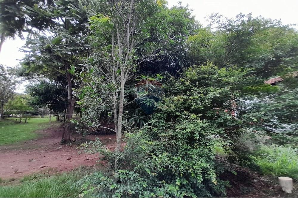 Chácara / Sítio / Fazenda - Venda - Goiânia , Goiás - WhatsApp Image 2025-12-15 at 14.55.07.jpeg - 722271015-41