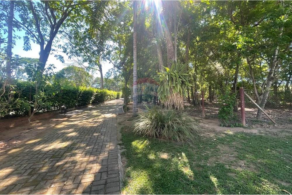 Chácara / Sítio / Fazenda - Venda - Nova Veneza , Goiás - WhatsApp Image 2025-11-18 at 07.24.53.jpeg - 722271015-32