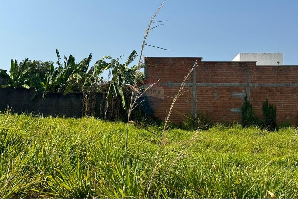 Terreno - Venda - Araguaína , Tocantins - WhatsApp Image 2024-08-22 at 17.40.33.jpeg - 720991002-163