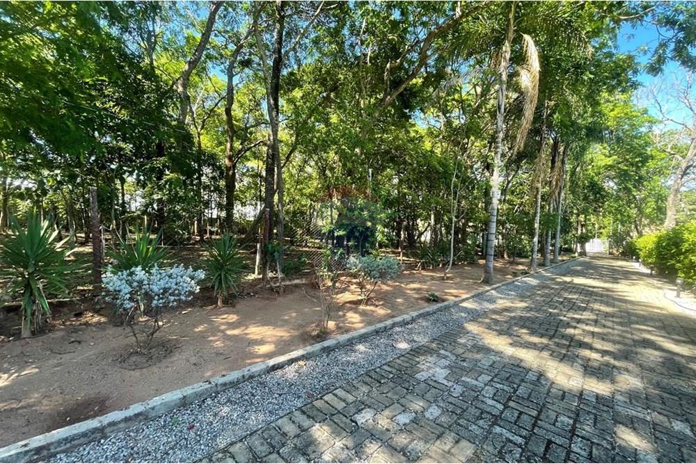 Chácara / Sítio / Fazenda - Venda - Nova Veneza , Goiás - WhatsApp Image 2025-11-18 at 07.24.53 (2).jpeg - 722271015-32