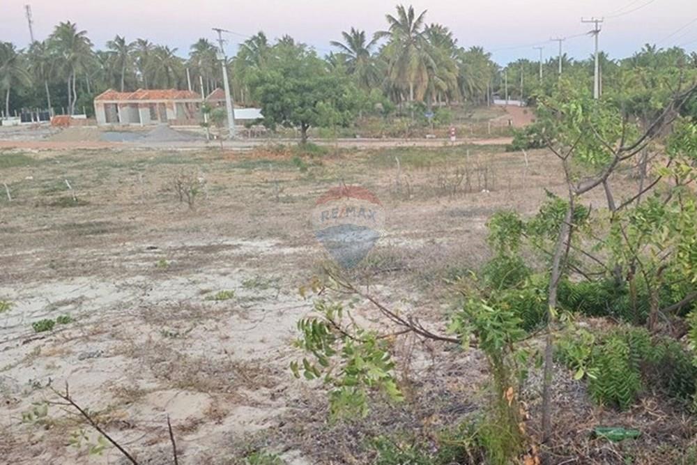 Terreno - Venda - Trairi , Ceará - 1000190167.jpg - 722341001-102