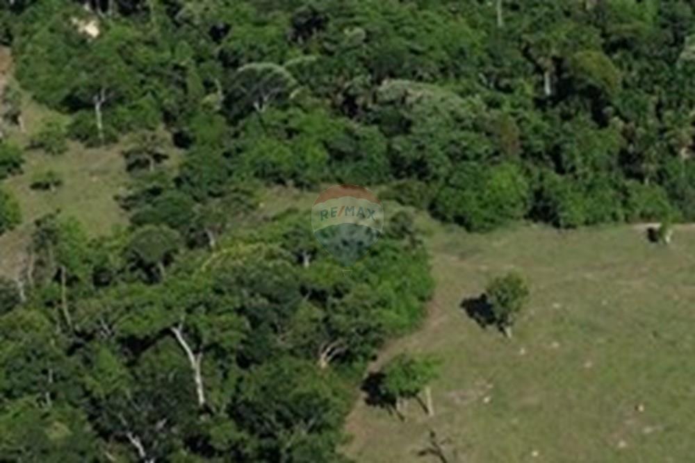 Chácara / Sítio / Fazenda - Venda - Ministro Andreazza , Rondônia - DJI_0910.JPG - 722311011-37