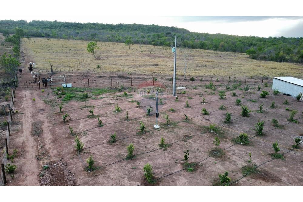 Chácara / Sítio / Fazenda - Venda - Água Boa , Mato Grosso - dji_fly_20251010_181330_110_1760130878879_photo_optimized.jpg - 722211004-26