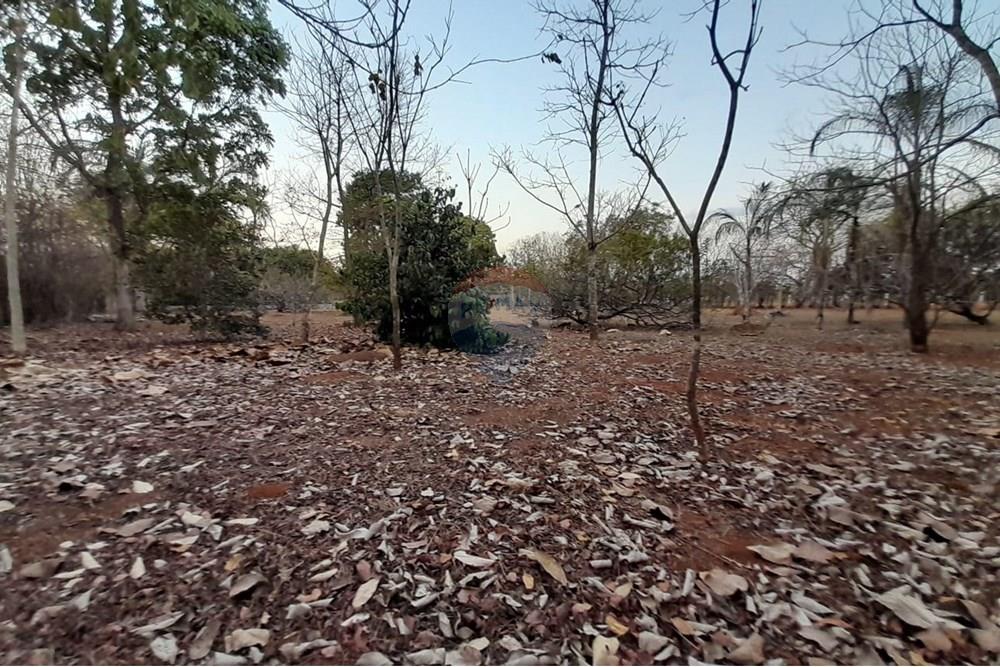 Chácara / Sítio / Fazenda - Venda - Goiânia , Goiás - WhatsApp Image 2025-10-31 at 16.47.39.jpeg - 722271015-38