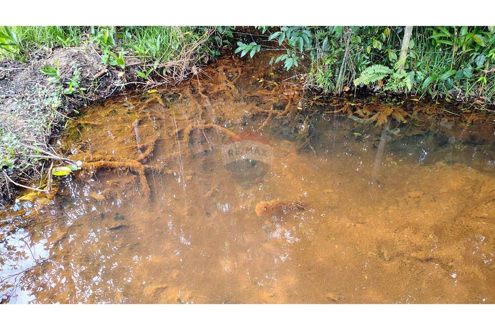 Chácara / Sítio / Fazenda - Venda - Conde , Paraíba - IMG_20251012_124917755_HDR_AE.jpg - 720871055-28