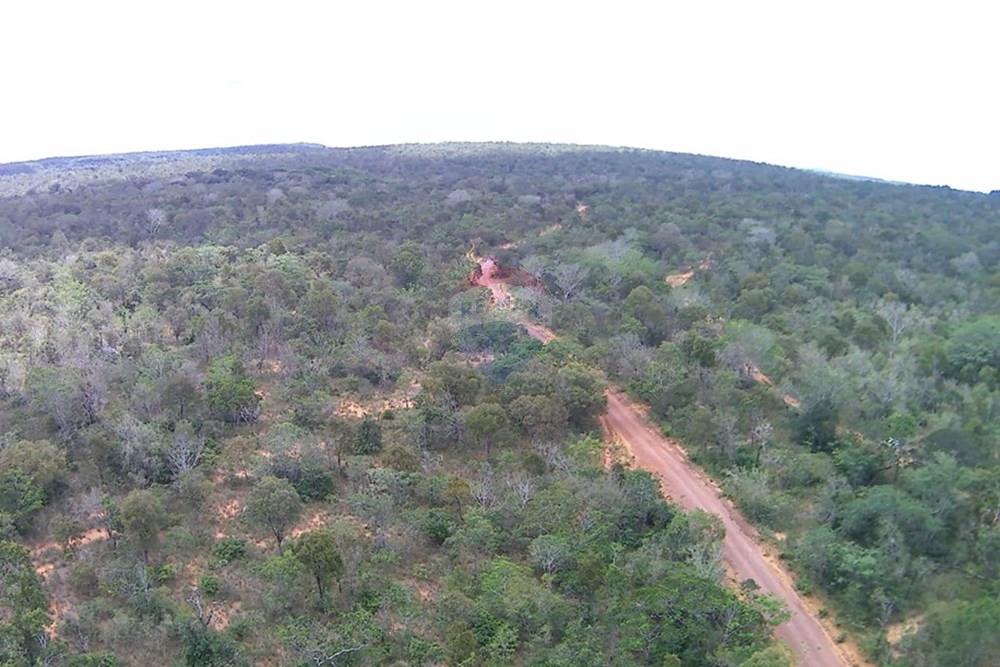 Fazenda - Venda - Babaçulândia , Tocantins - WhatsApp Image 2025-04-09 at 11.01.19.jpeg - 722171039-21