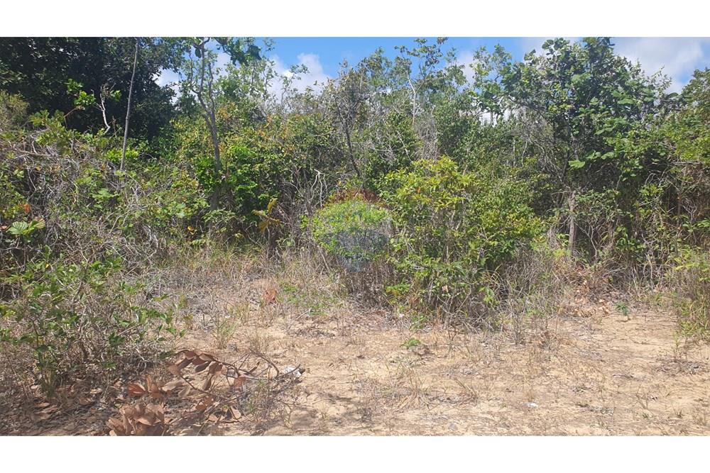 Terreno - Venda - Conde , Paraíba - 20251227_095511.jpg - 720471019-138