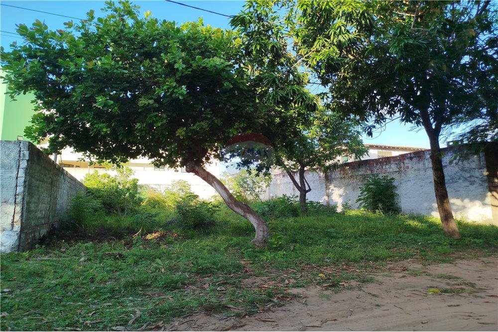 Terreno - Venda - Parnamirim , Rio Grande do Norte - 14 - 720891228-1
