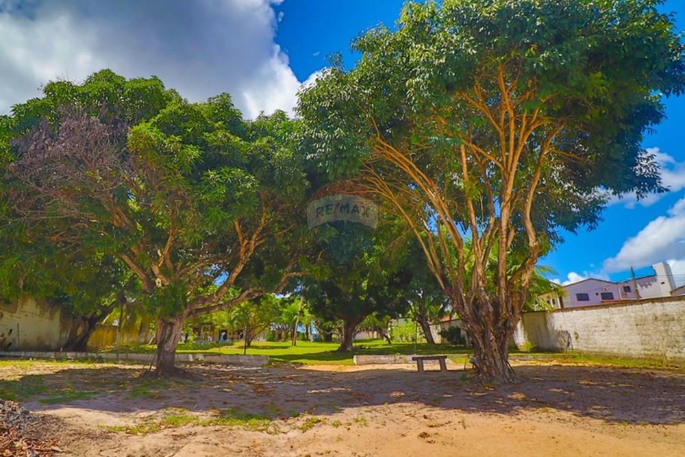 Casa - Venda - Nísia Floresta , Rio Grande do Norte - IMG_5811.jpg - 720891278-1