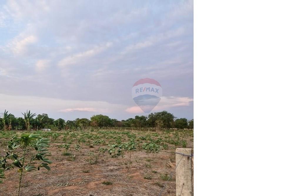 Chácara / Sítio / Fazenda - Venda - Rondonópolis , Mato Grosso - IMG-20251027-WA0029.jpg - 721981068-21