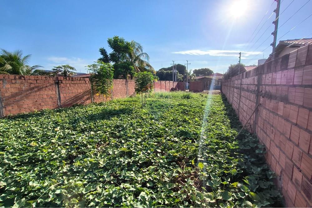 Terreno - Venda - Rondonópolis , Mato Grosso - WhatsApp Image 2026-03-12 at 08.19.50 (2).jpeg - 722201045-11