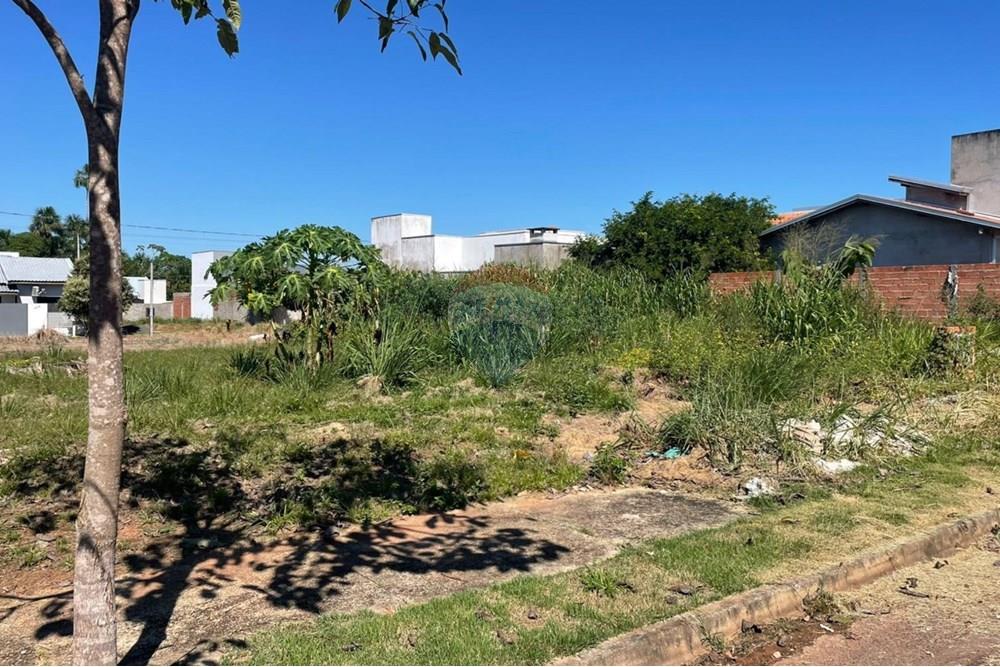 Terreno - Venda - Cacoal , Rondônia - 345.jpg - 722311018-46