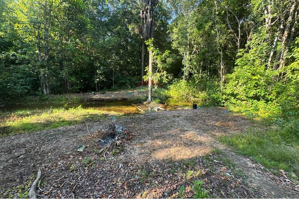 Chácara / Sítio / Fazenda - Venda - Babaçulândia , Tocantins - WhatsApp Image 2025-09-23 at 14.17.38 (4).jpeg - 720991008-82