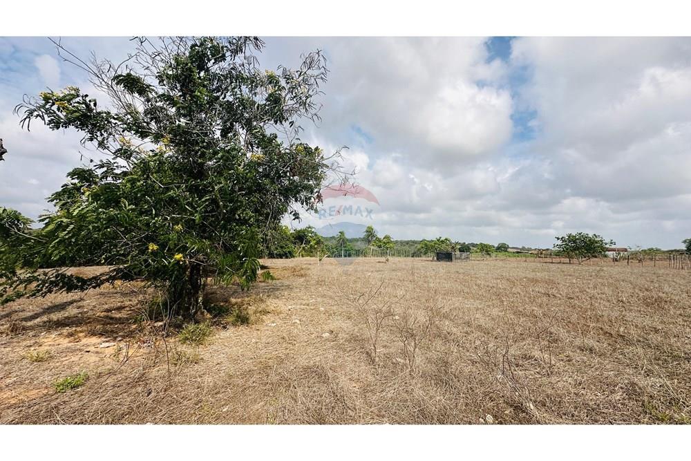 Chácara / Sítio / Fazenda - Venda - São José de Mipibu , Rio Grande do Norte - IMG-20250206-WA0015.jpg - 720811013-67