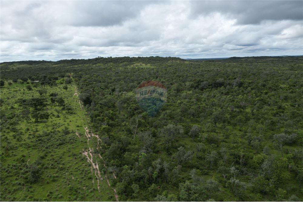 Fazenda - Venda - Carolina , Maranhão - 11 - 720991010-69