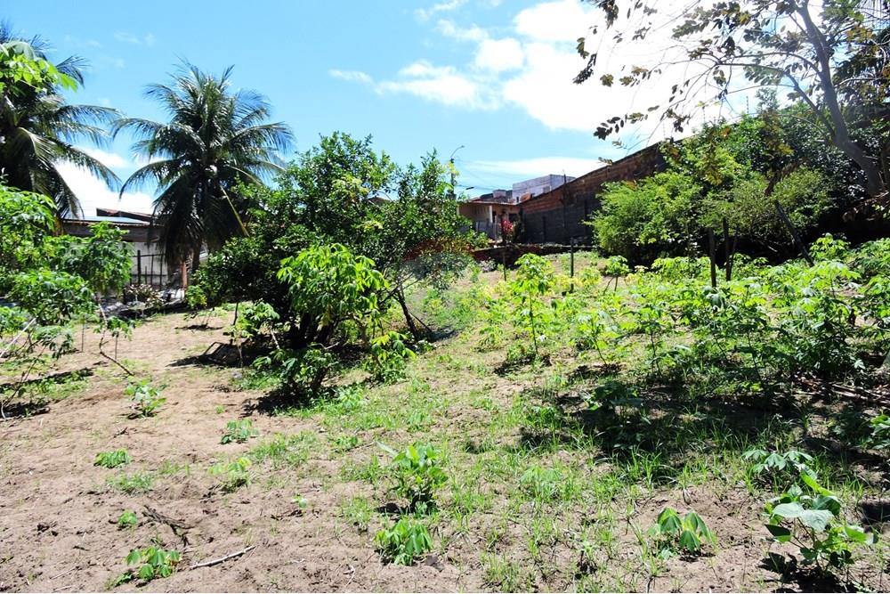 Terreno - Venda - Parnamirim , Rio Grande do Norte - DSCN4932.JPG - 720891130-357