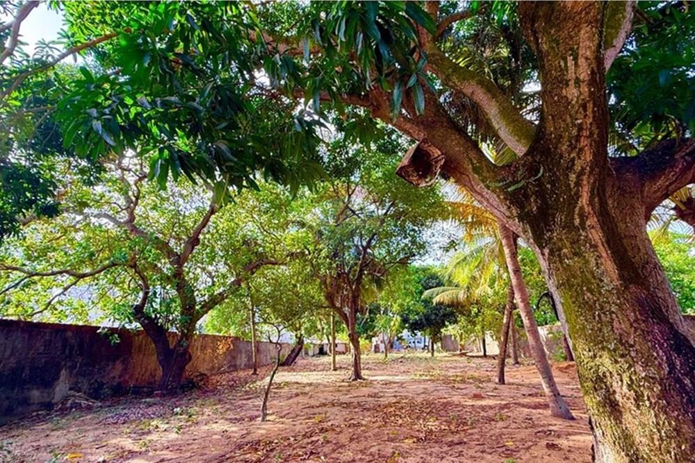 Terreno - Venda - Natal , Rio Grande do Norte - WhatsApp Image 2025-12-04 at 15.27.33.jpeg - 720731001-2488