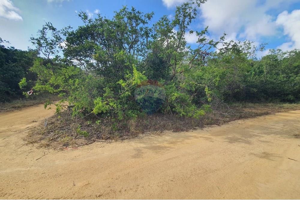 Terreno - Venda - Conde , Paraíba - 1778cead-c506-4e04-91d1-1d8c11cb5016.jpeg - 720471019-138