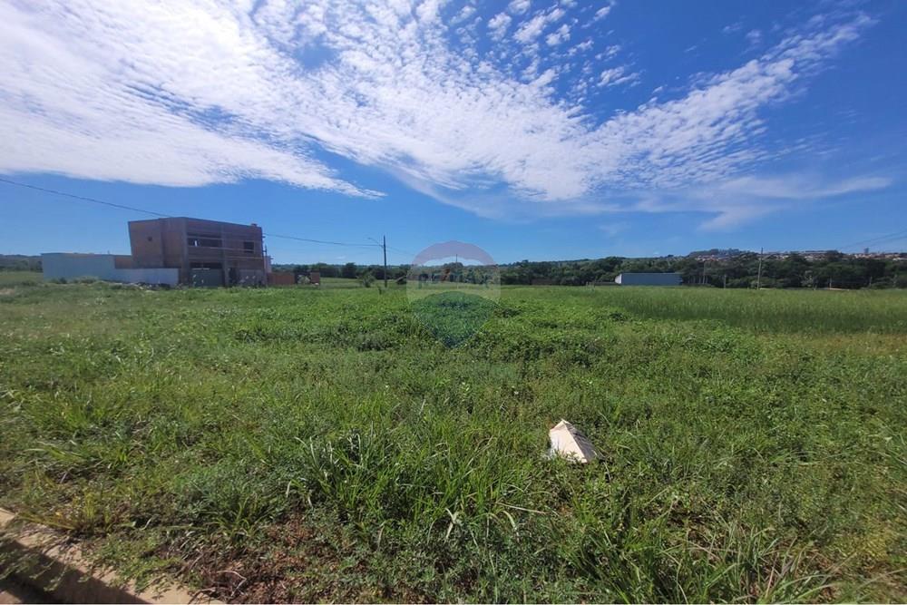 Terreno - Venda - Rondonópolis , Mato Grosso - WhatsApp Image 2026-01-31 at 20.45.49.jpeg - 720771042-57
