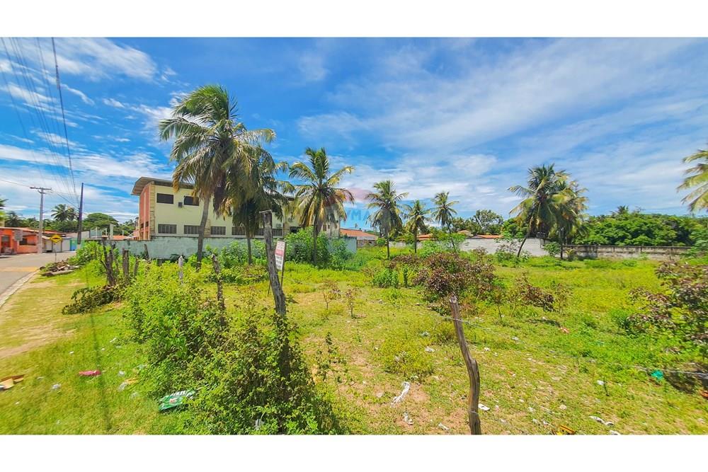 Terreno - Venda - Ceará-Mirim , Rio Grande do Norte - 20240410_112652.jpg - 720891001-59