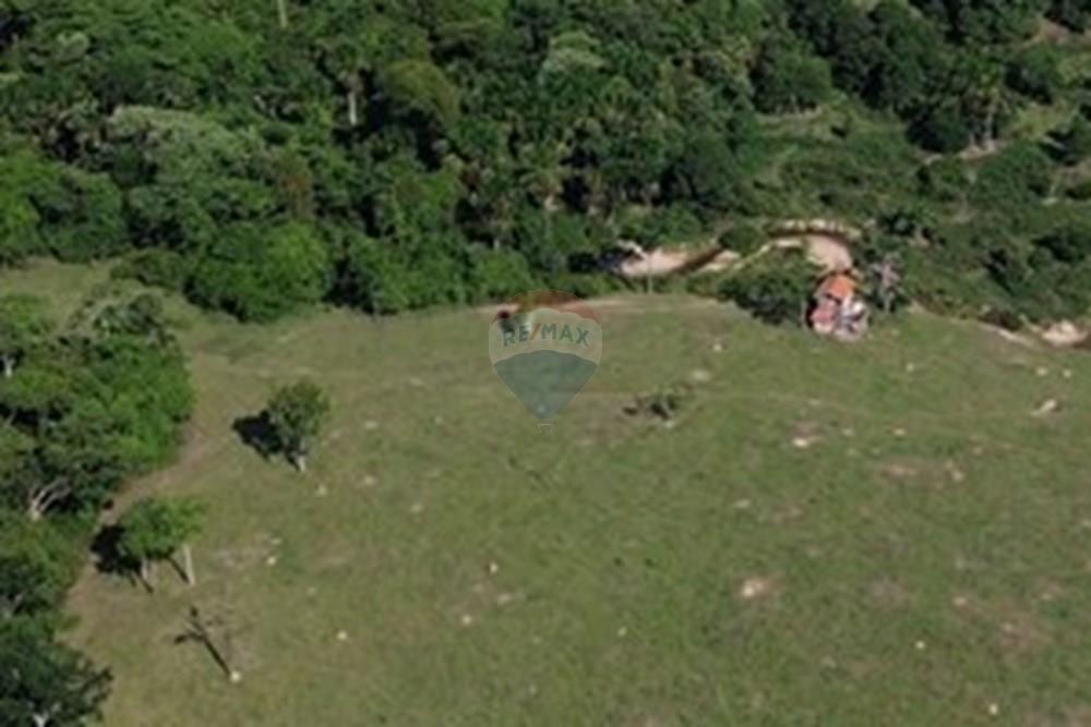 Chácara / Sítio / Fazenda - Venda - Ministro Andreazza , Rondônia - DJI_0909.JPG - 722311011-37