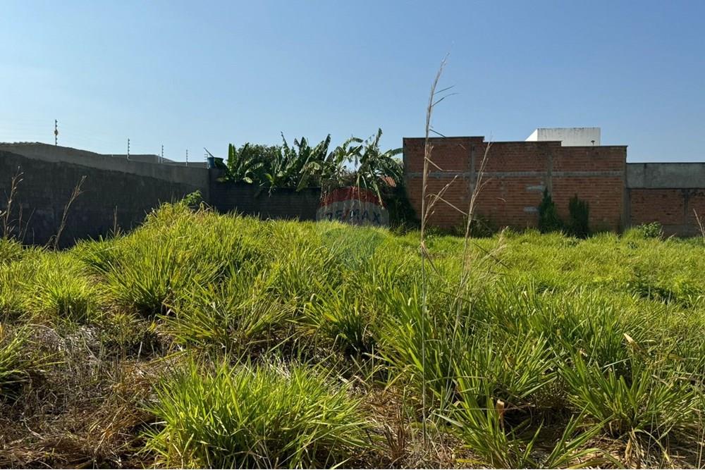 Terreno - Venda - Araguaína , Tocantins - WhatsApp Image 2024-08-22 at 17.40.38 (2).jpeg - 720991002-163