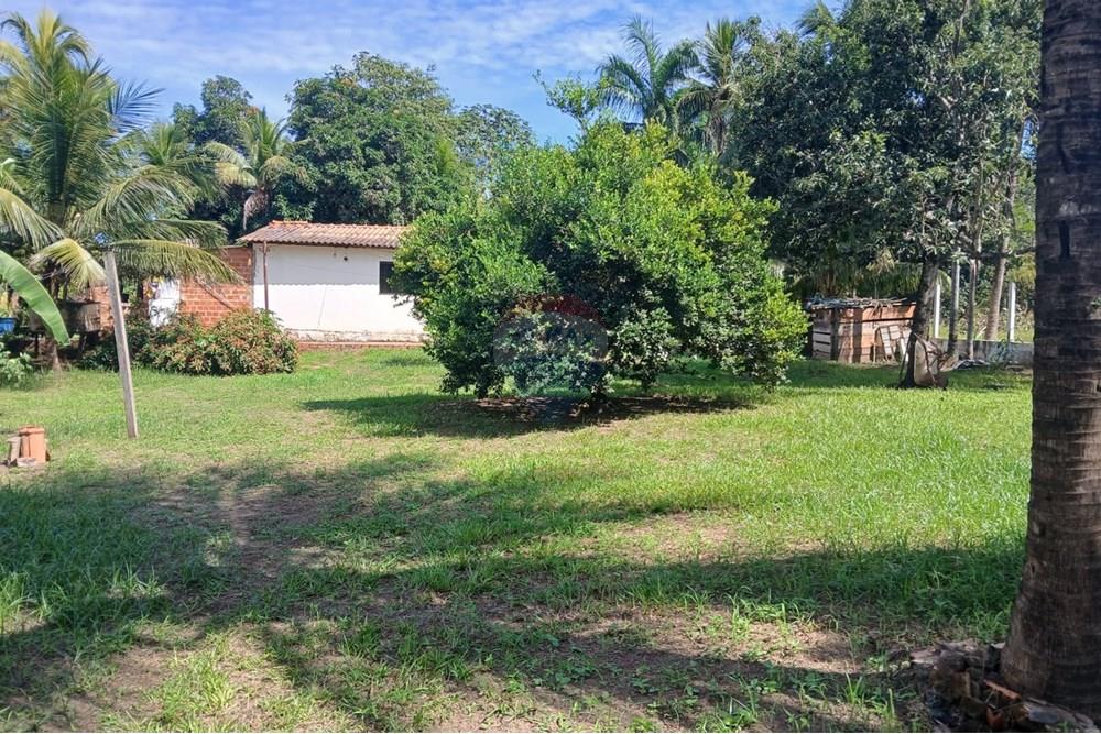 Chácara / Sítio / Fazenda - Venda - Rondonópolis , Mato Grosso - WhatsApp Image 2025-05-12 at 16.32.18 (11).jpeg - 720611007-91