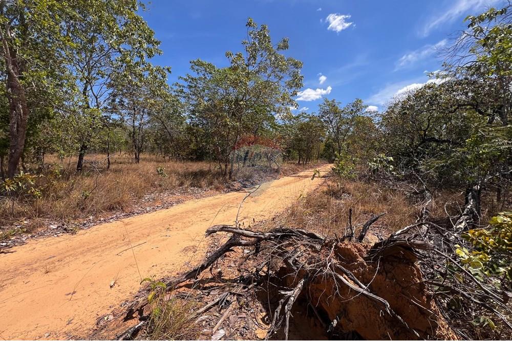 Agro - Venda - Carolina , Maranhão - WhatsApp Image 2025-08-07 at 12.38.55.jpeg - 720991010-76