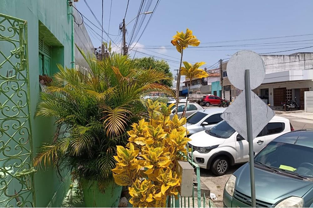 Casa - Venda - Natal , Rio Grande do Norte - WhatsApp Image 2025-10-05 at 20.17.30.jpeg - 720891003-107