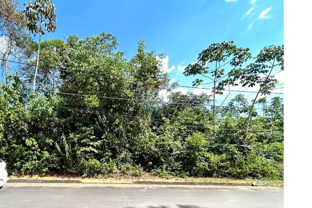 Terreno - Venda - Manaus , Amazonas - Imagem do WhatsApp de 2025-09-15 à(s) 14.50.57_40f058f4.jpg - 720401097-8