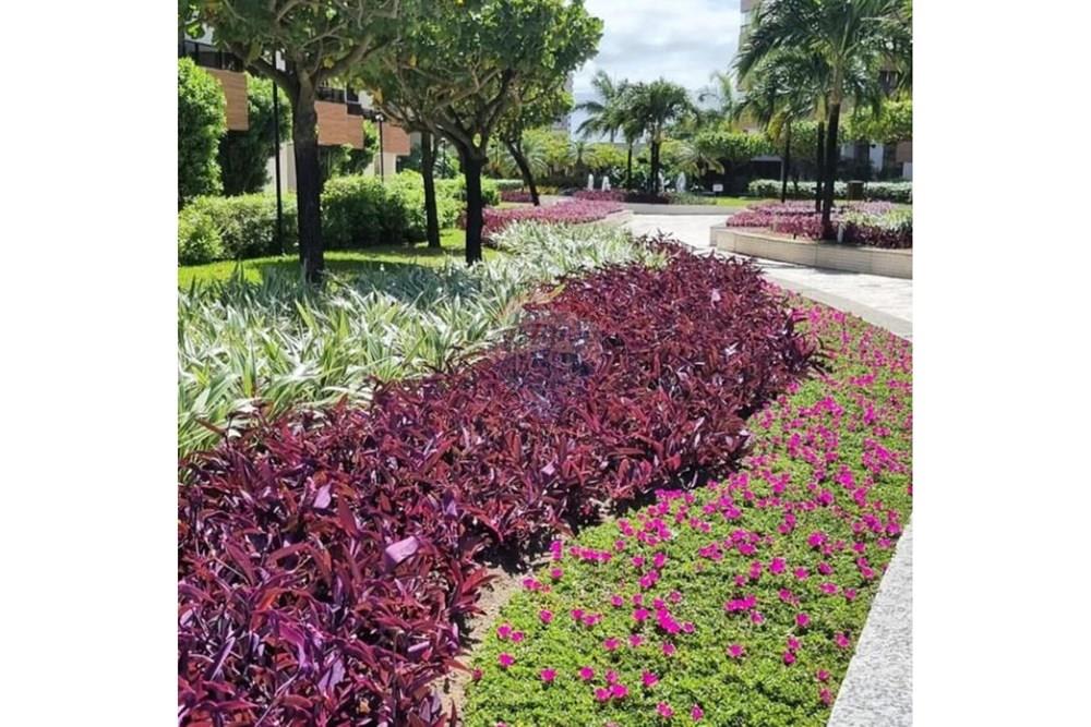 Apartamento - Alugar - Cabedelo , Paraíba - 517070515.jpg - 722001199-11