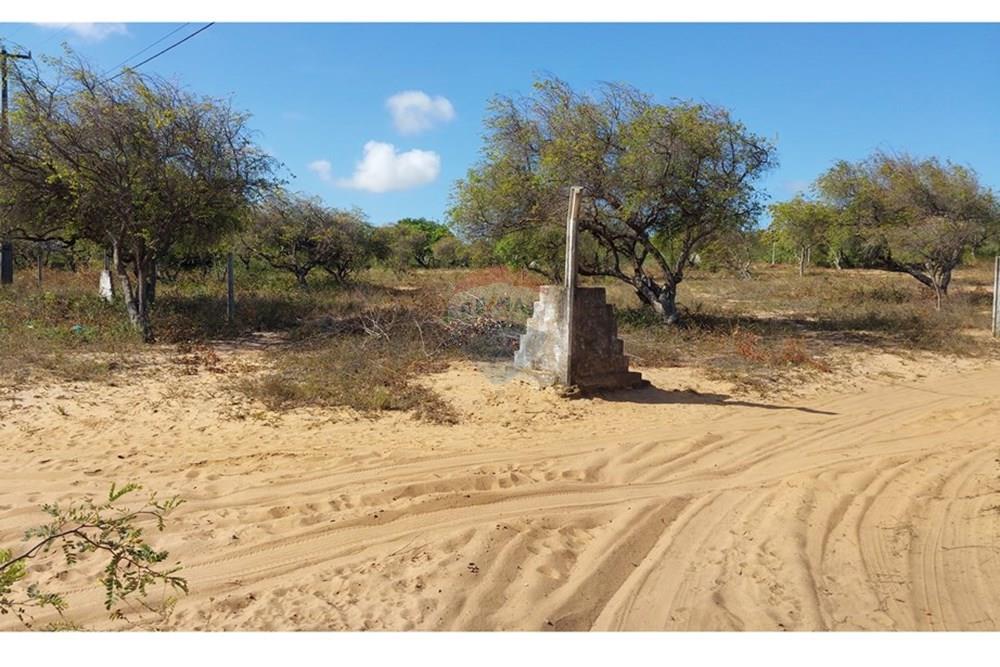 Terreno - Venda - Nísia Floresta , Rio Grande do Norte - 20251106_142736.jpg - 720891234-9