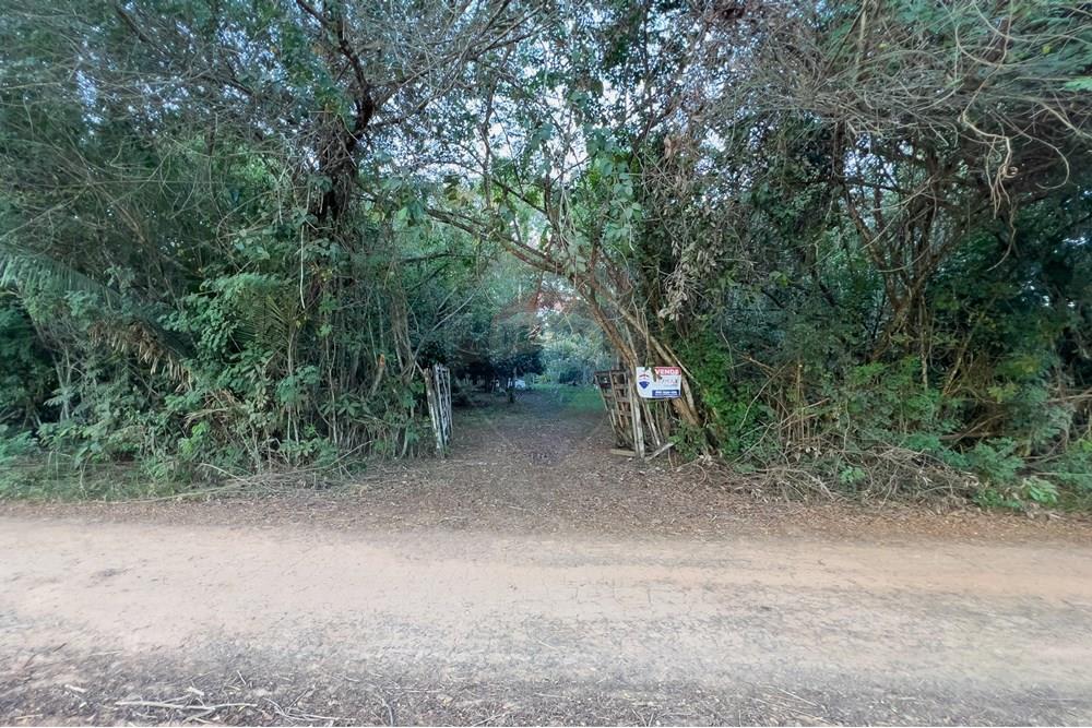 Chácara / Sítio / Fazenda - Venda - Porto Velho , Rondônia - IMG_9920.jpg - 721551046-37