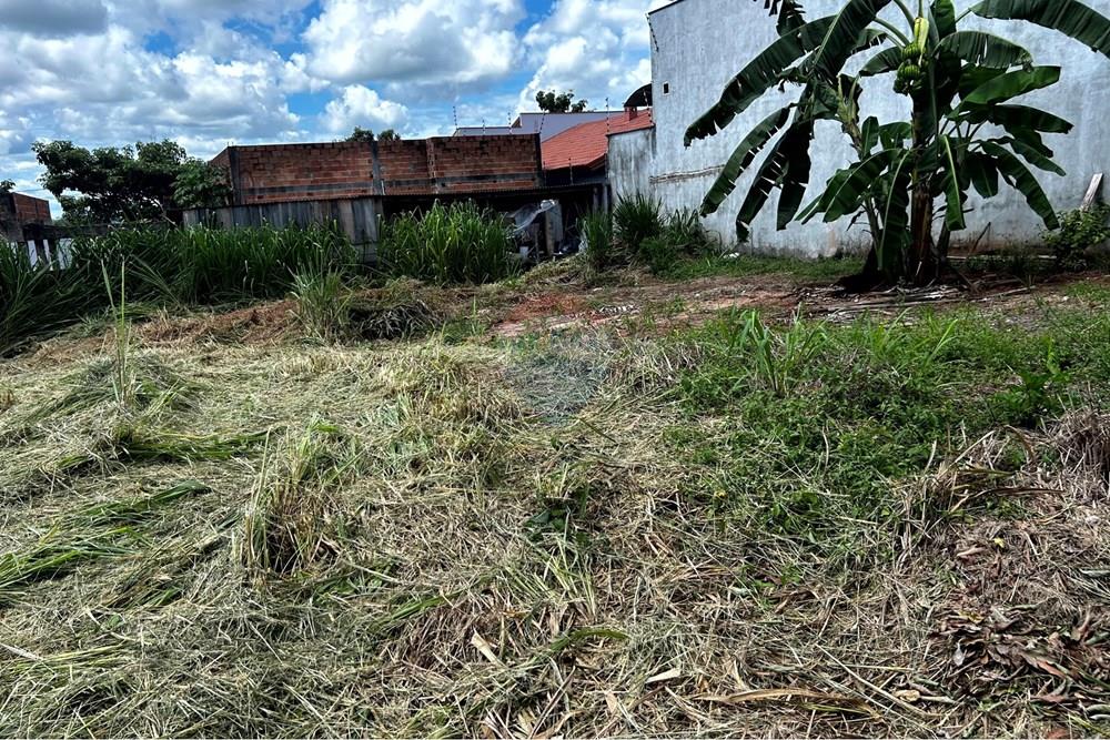 Terreno - Venda - Cacoal , Rondônia - IMG_2070.jpg - 721971001-41