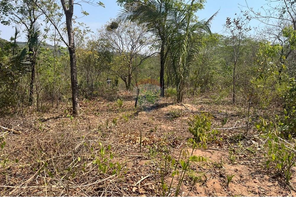 Chácara / Sítio / Fazenda - Venda - Rondonópolis , Mato Grosso - WhatsApp Image 2025-10-08 at 16.18.10 (1).jpeg - 720611061-12