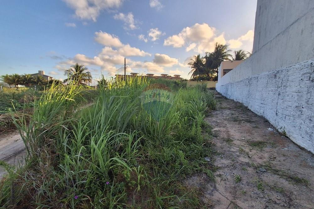 Terreno - Venda - Pitimbu , Paraíba - 20260310_165031.jpg.jpeg - 720871044-121