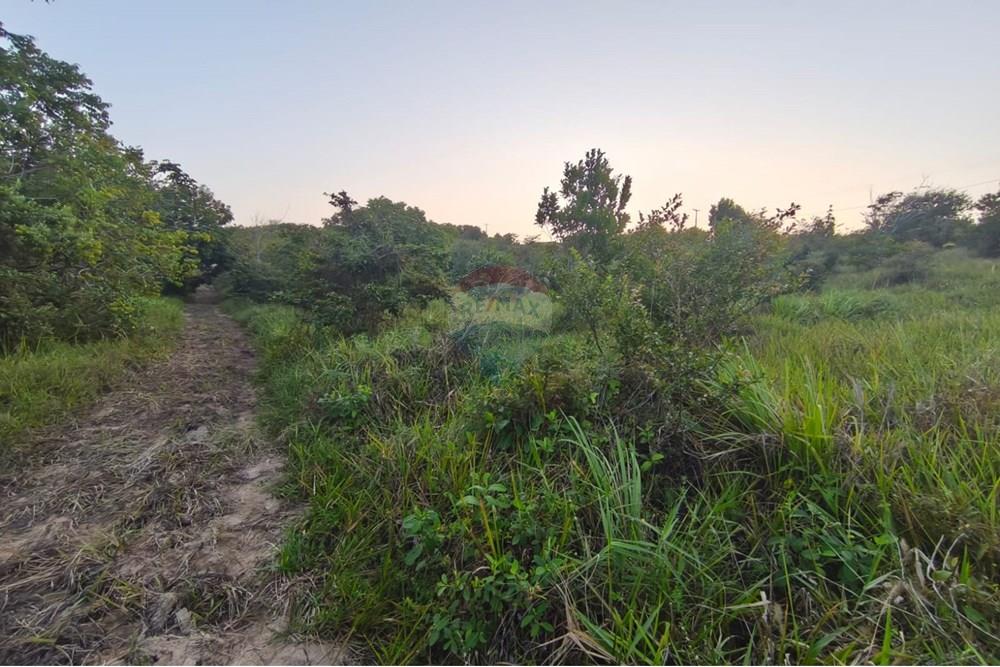 Gyvenamasis - Žemės sklypas - Pitimbu , Paraíba - BR - c38cfc51-da01-41c3-9623-20528a8539e1.jpg - 720871056-22