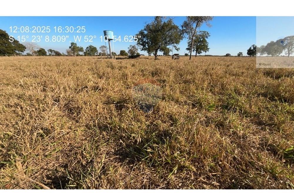Chácara / Sítio / Fazenda - Venda - Barra do Garças , Mato Grosso - WhatsApp Image 2025-11-05 at 15.28.04 (2).jpeg - 722221002-336